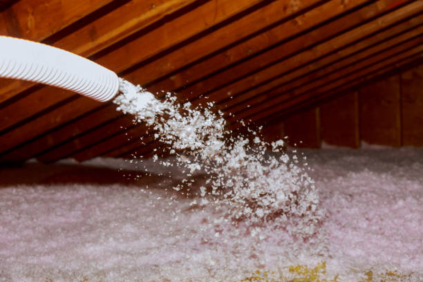 Best Blown-in Insulation in Lenoir City, TN