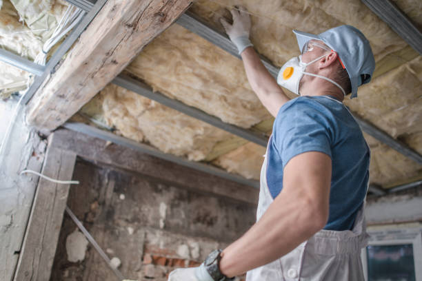 Best Fiberglass Insulation in Lenoir City, TN